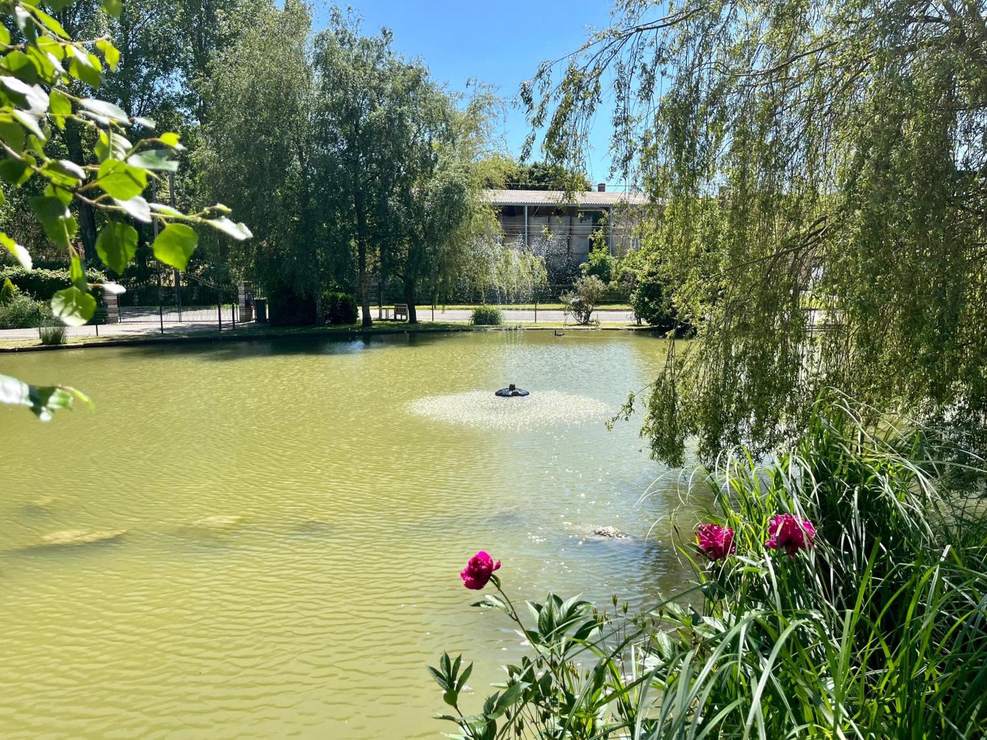 L'Etang D'Une Pause Samer Ngoại thất bức ảnh